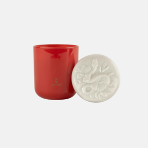 Snake Candle