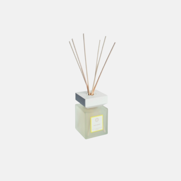 Rice Germs Bamboo Stick Diffuser