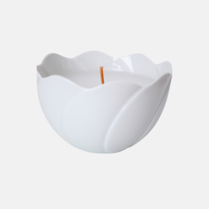 Vanille.Shape Wellenspiel