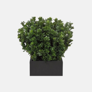 Gn751/2-Boxwood/Uv Rated Set Of 2