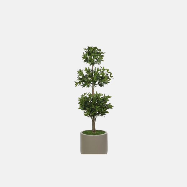 Gt020-Laurel Topiary