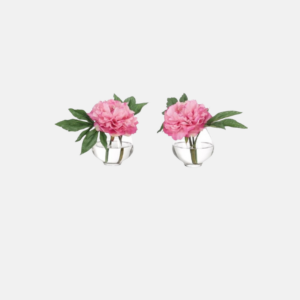 Kf699/2-Peony