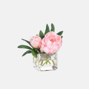 Kf504-Peony