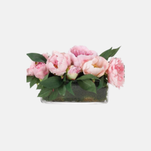 Kf756Mg-Peony