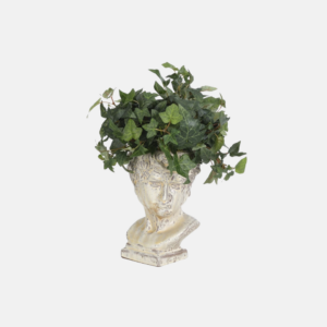 Gn959-Ivy Boston