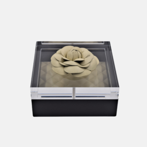 Box - S1-Pt/Fl