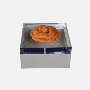 Box - S4-Pt/Fl