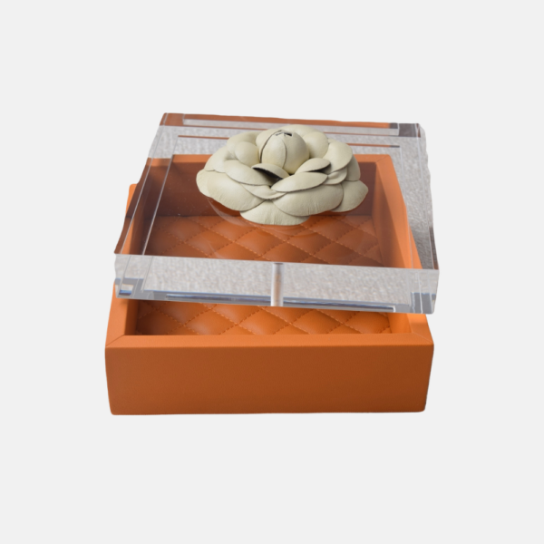 Box - S1-Pt/Fl