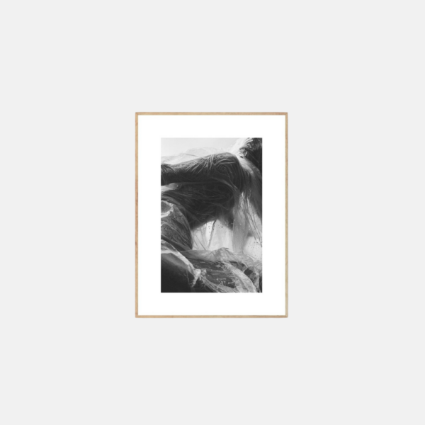 Alium Solitude