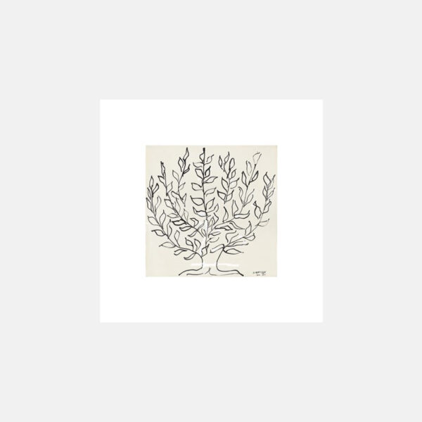 ROSENSTIELS HENRI MATISSE LE PLATANE-30038-06