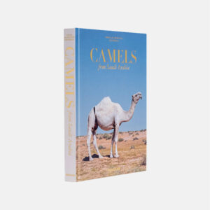 CAMELS FROM SAUDI ARABIA (CLASSIC)