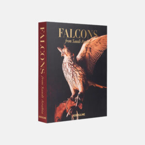 FALCONS FROM SAUDI ARABIA